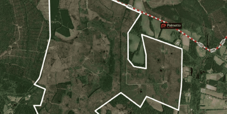 Colleton Mega Site